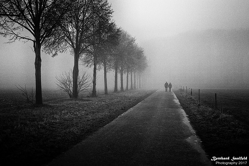 Bernhard Saalfeld - Hand in Hand